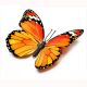 30cm 3d Artificial Decorative Butterflies | Plastic Simulation Butterflies for Outdoors Decoration