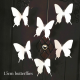 3D Simulated Butterfly Stickers | Plastic Butterflies for Wedding Curtain Decoration